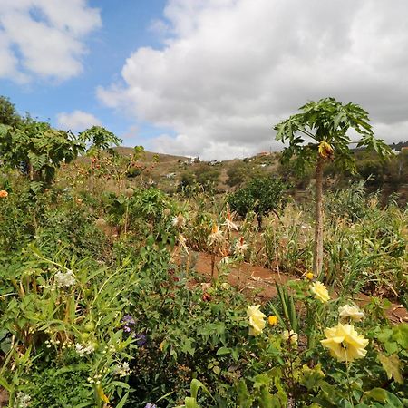 Appartamento Countryside Views House Teror Esterno foto