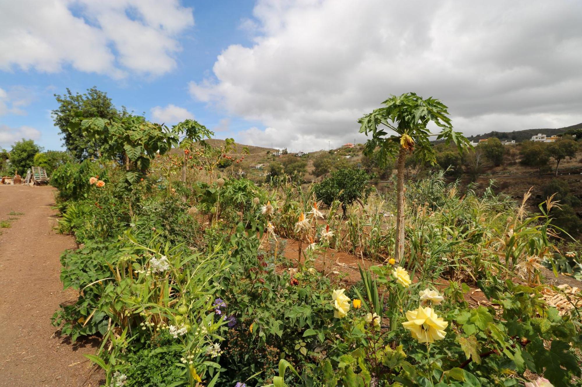 Appartamento Countryside Views House Teror Esterno foto